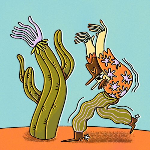 Cactus