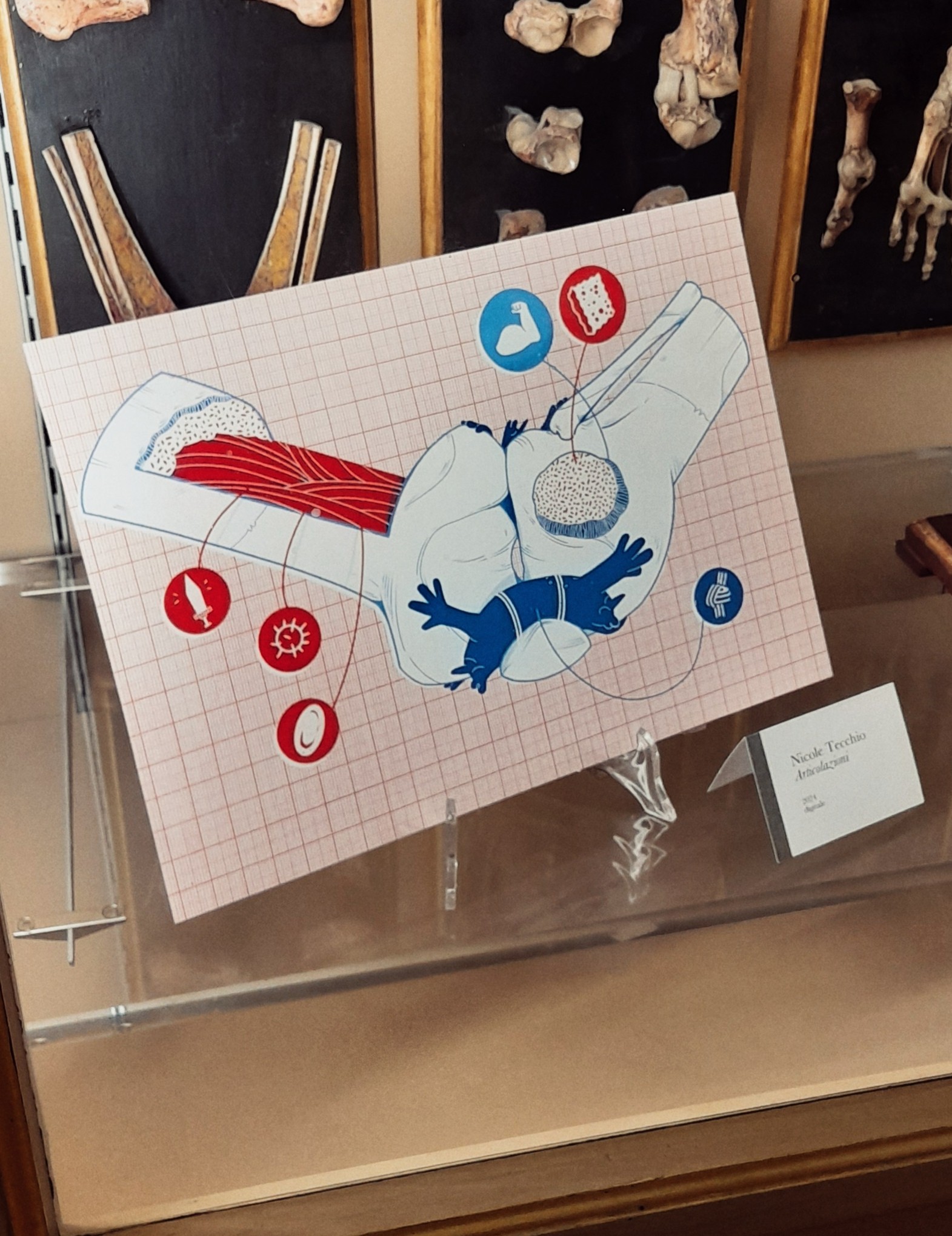 Illustrated bone for The First Patient book
